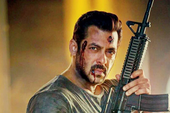 Salman khan: सलमान खान ने इंडस्ट्री में पूरे किए 35 साल, टाइगर 3 से फैंस को दे रहे हैं रिटर्न गिफ्ट!